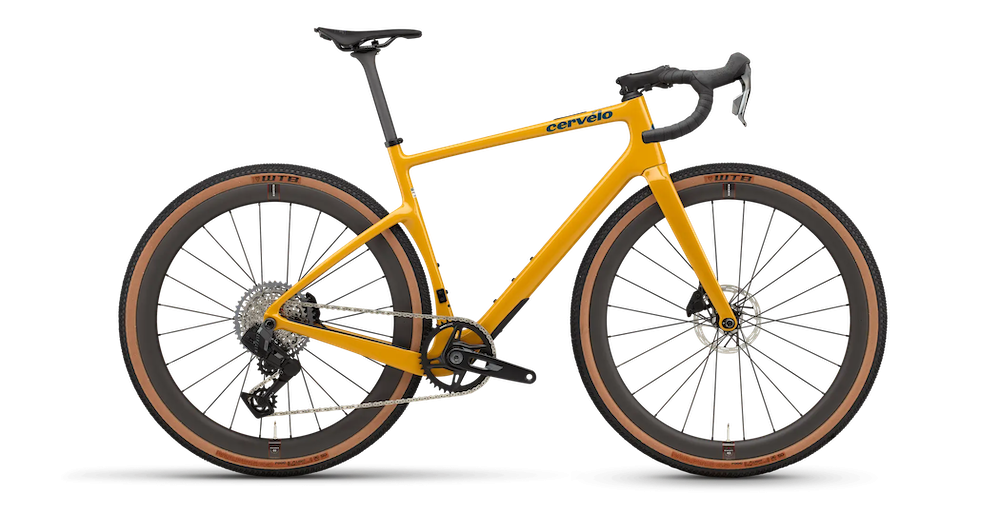 aspero-rival-marigold